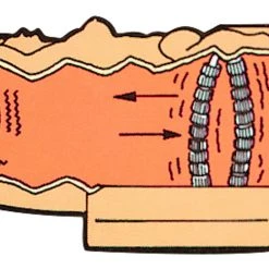 You2Toys Venus 11 You2Toys Venus -sex toys shop 05527200000 nor d